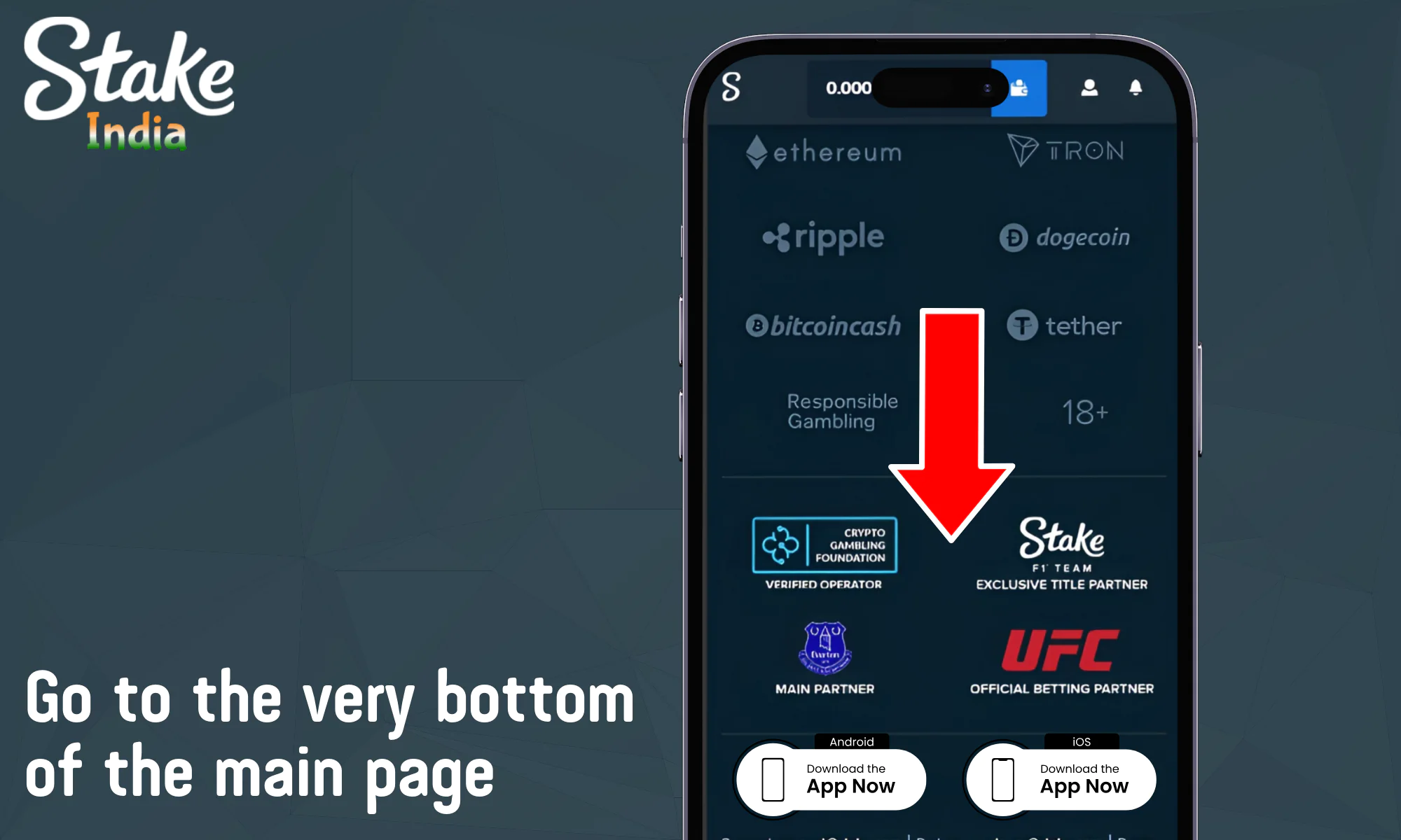 Go to the very bottom of the main page